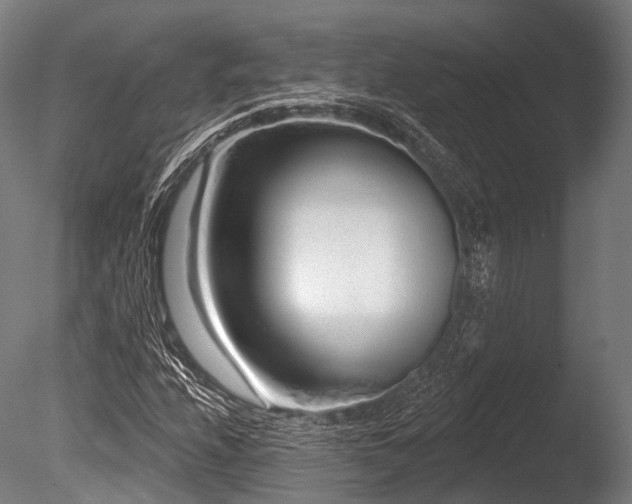 X0000086101208200703231426