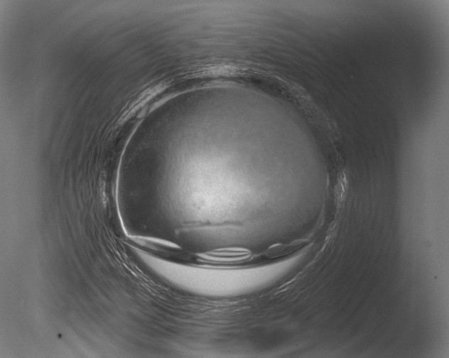 X0000086101209200703231426