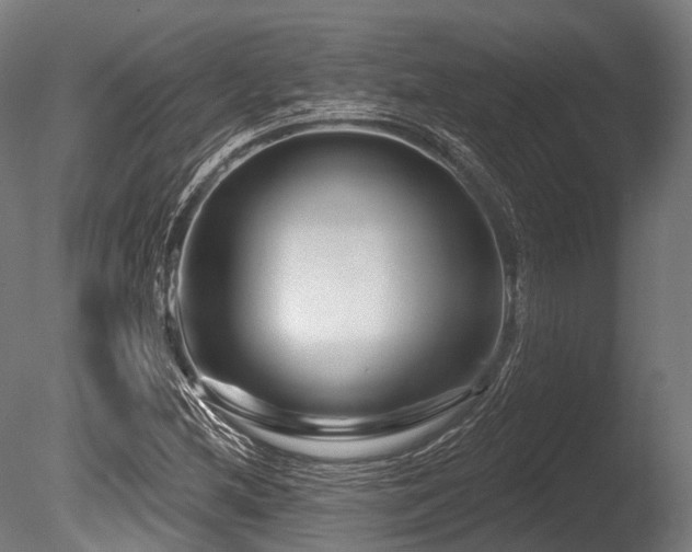 X0000086101212200703231426