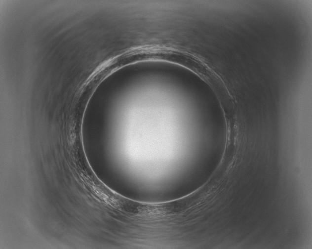 X0000086101213200703231426