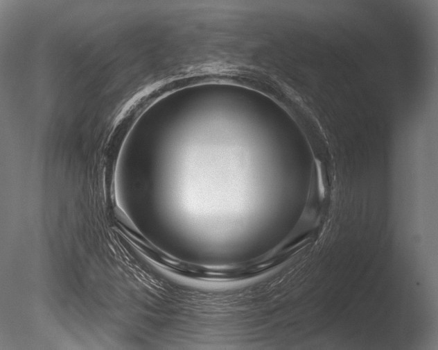 X0000086101214200703231426