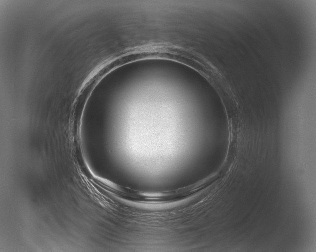 X0000086101216200703231426