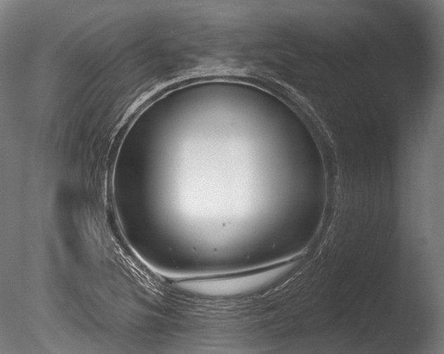 X0000086101220200703231426