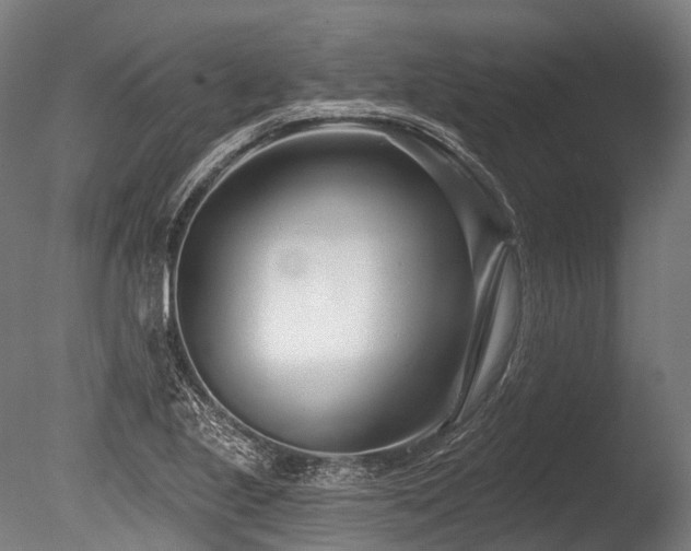X0000086101221200703231426