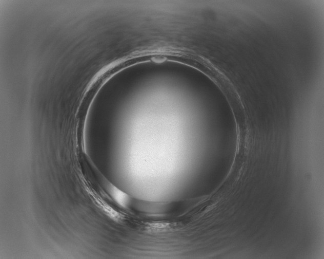 X0000086101222200703231426