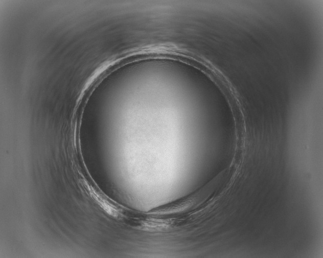 X0000086101224200703231426