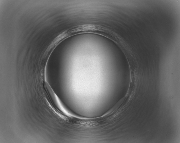 X0000086101225200703231426