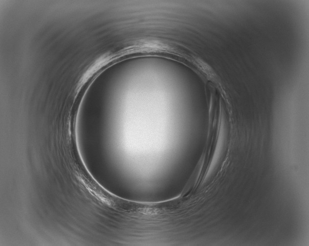 X0000086101226200703231426