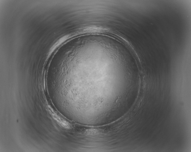X0000086101227200703231426