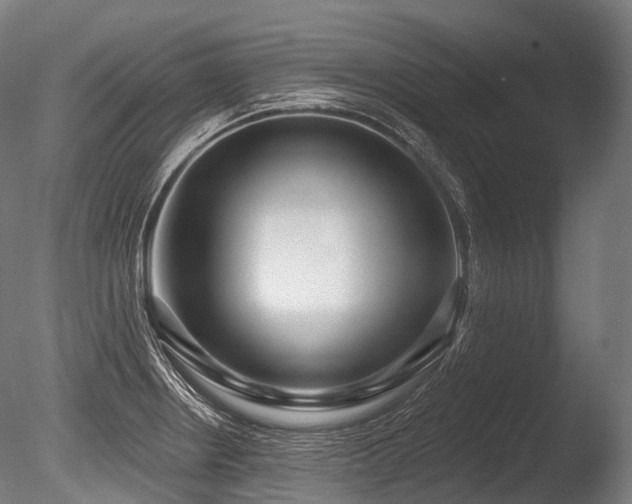 X0000086101234200703231426