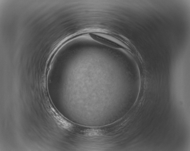 X0000086101236200703231426