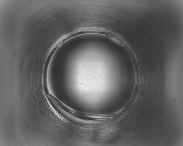 X0000086101237200703231426