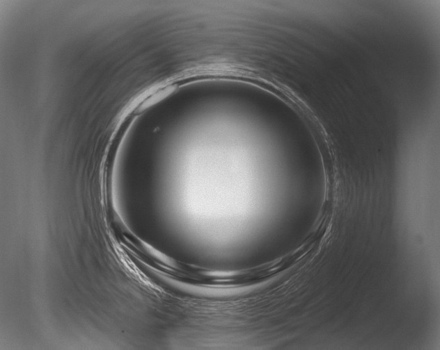 X0000086101238200703231426