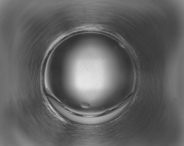 X0000086101240200703231426