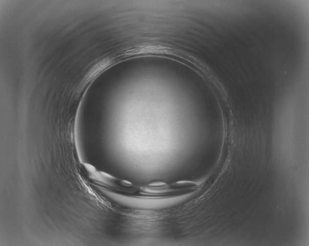 X0000086101241200703231426