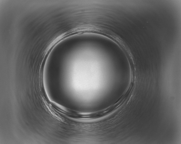 X0000086101242200703231426