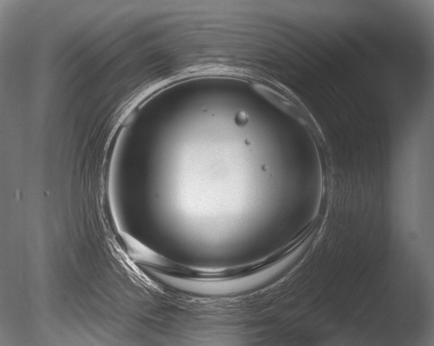 X0000086101244200703231426
