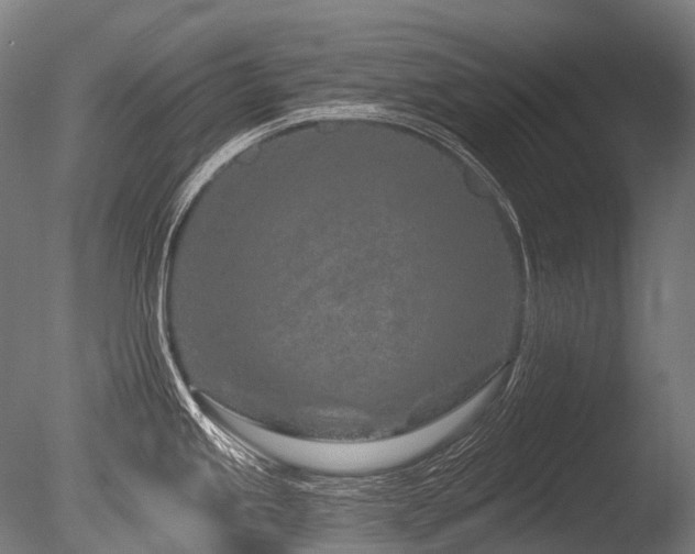 X0000086101245200703231426