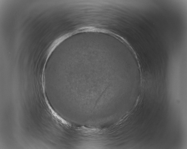 X0000086101247200703231426