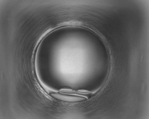 X0000086101248200703231426