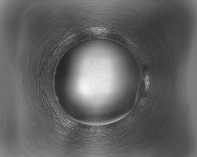 X0000086101249200703231425