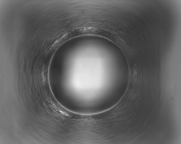 X0000086101250200703231425