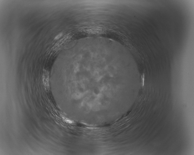 X0000086101251200703231425