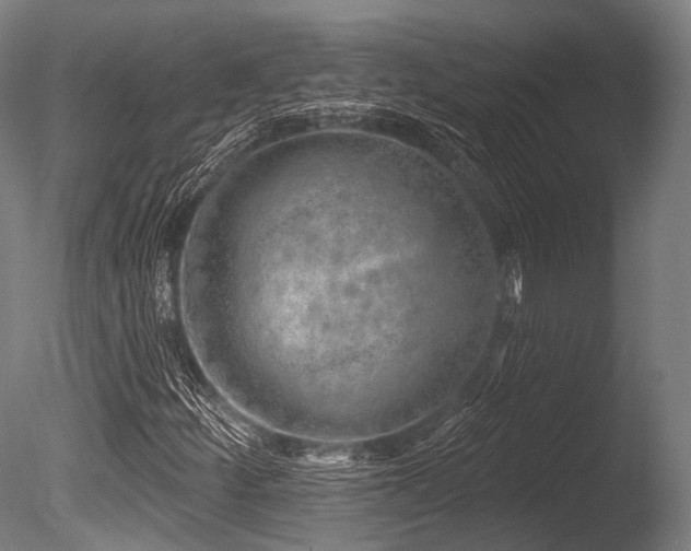 X0000086101252200703231425