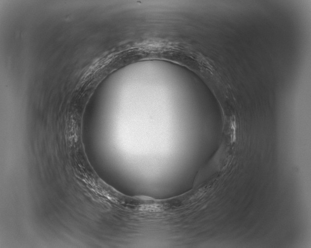 X0000086101253200703231425