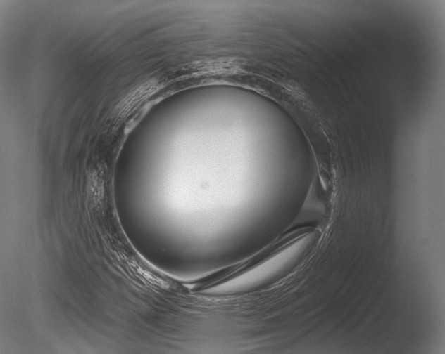 X0000086101257200703231425