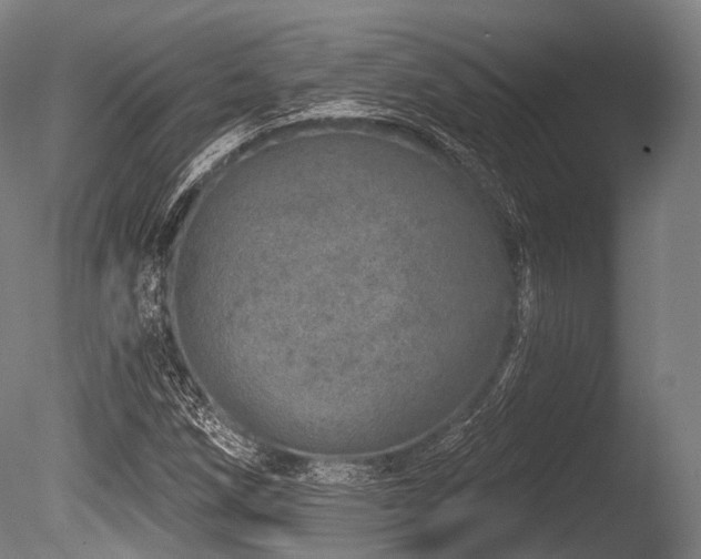 X0000086101258200703231425