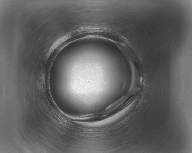 X0000086101261200703231425