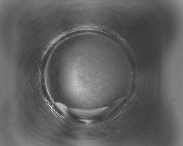 X0000086101264200703231425