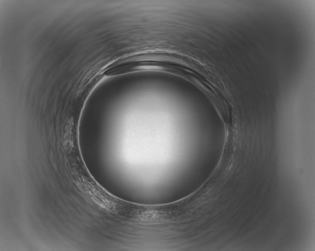 X0000086101265200703231425