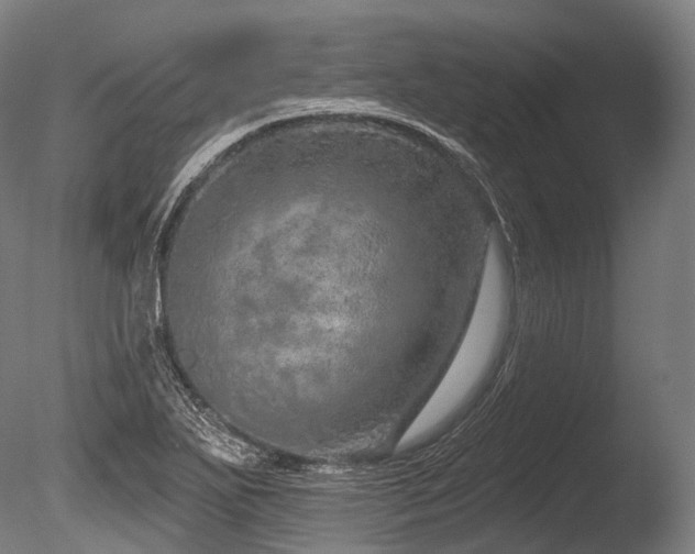 X0000086101271200703231425