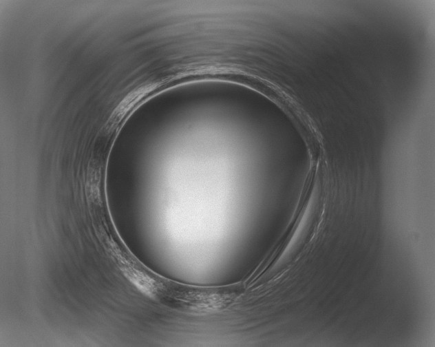 X0000086101273200703231425