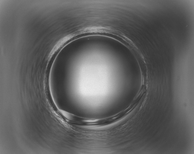 X0000086101277200703231425