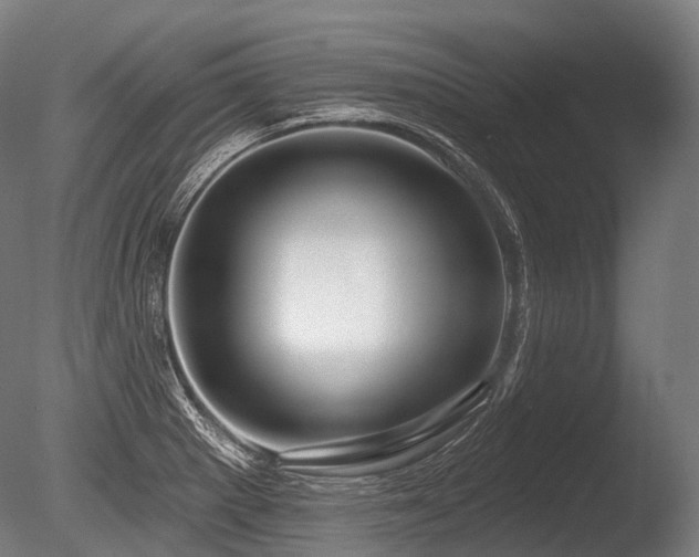X0000086101281200703231425
