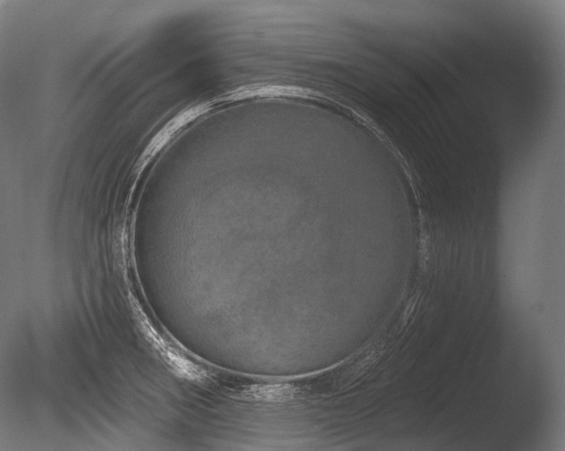X0000086101282200703231425