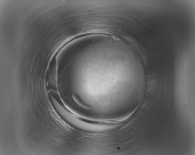 X0000086101284200703231425