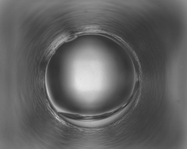 X0000086101289200703231425