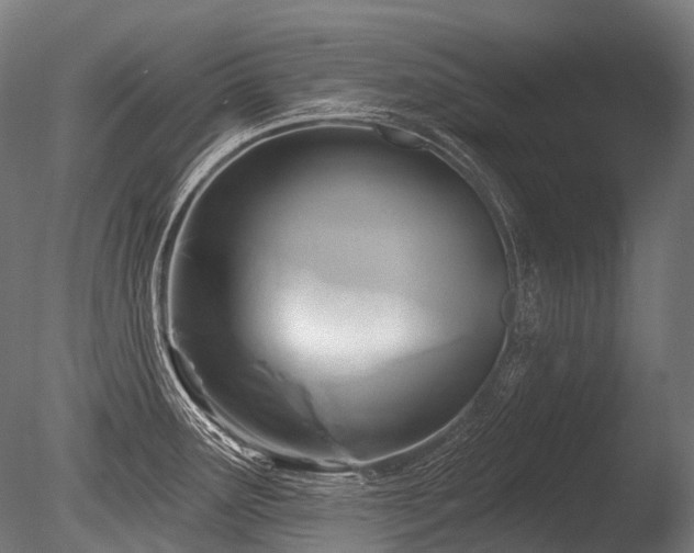 X0000086101291200703231425