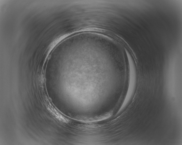 X0000086101292200703231425