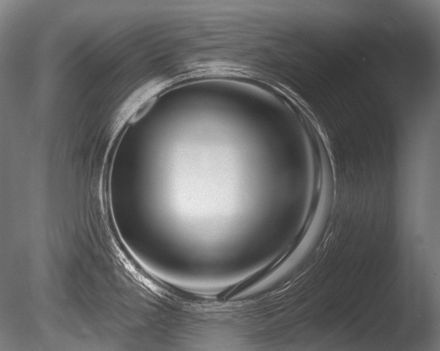X0000086101293200703231425