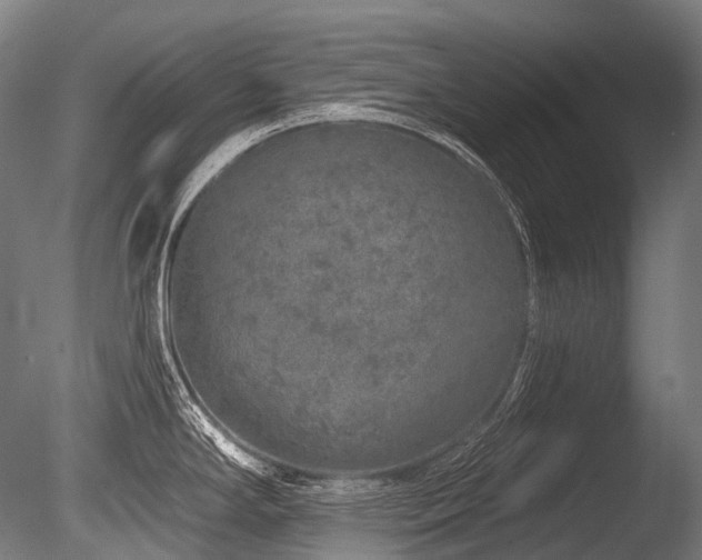 X0000086101294200703231425