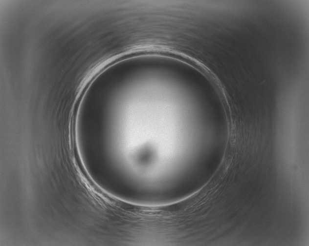 X0000086101295200703231425