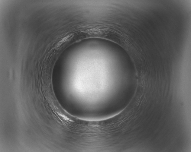 X0000086101297200703231424