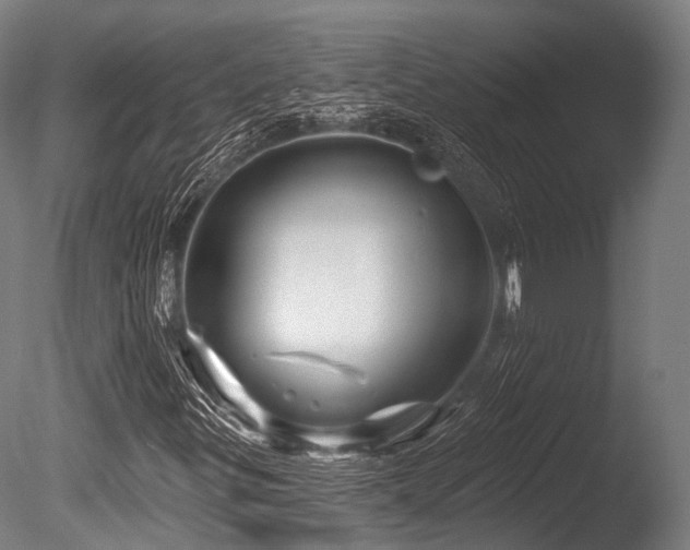 X0000086101299200703231424