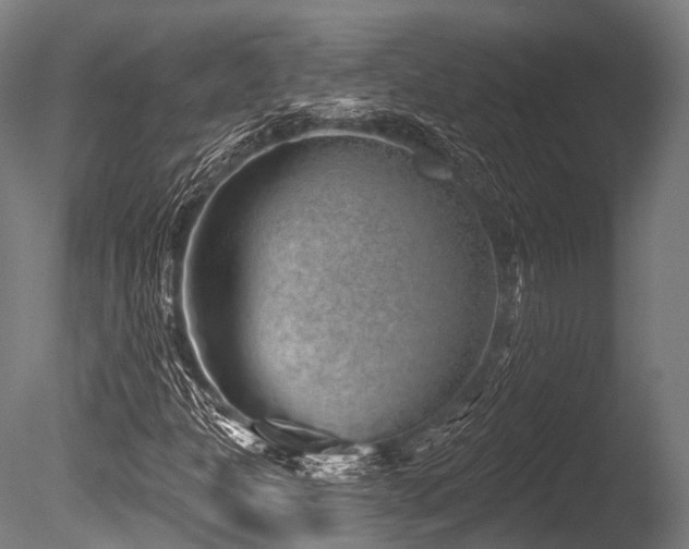 X0000086101301200703231424