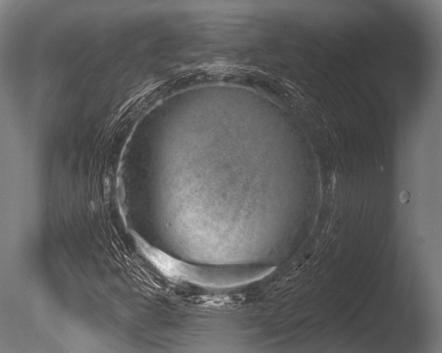 X0000086101302200703231424